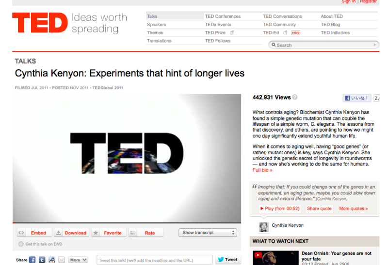 楽しく身に付く、０～３歳限定の英語育児。グローバルキッズの養成塾。